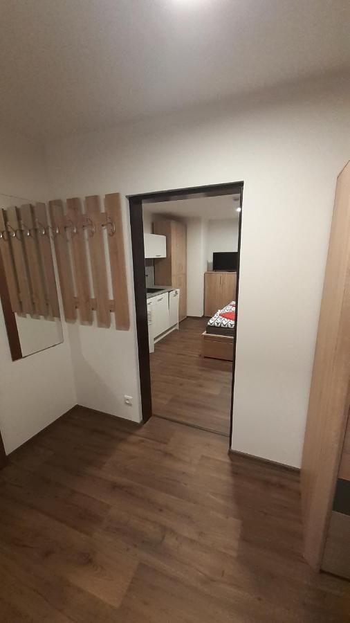 Apartmany Radost Kovářská Екстериор снимка