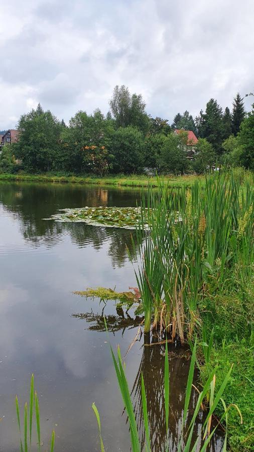 Apartmany Radost Kovářská Екстериор снимка